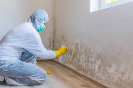 Best Biohazard Mold Removal in Santa Cruz, CA