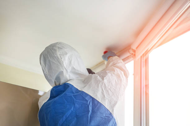  Santa Cruz, CA Mold Removal Pros